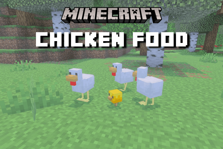 What to Feed Chickens in Minecraft for Rapid Growth
