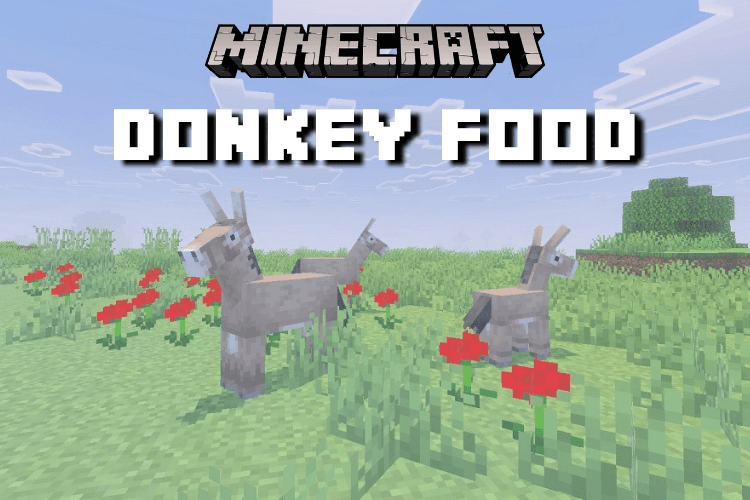 Minecraft Donkey Diet: What to Feed Them