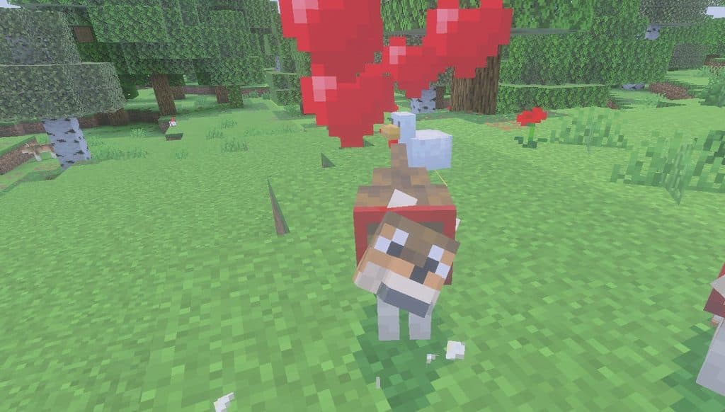 Image from post content