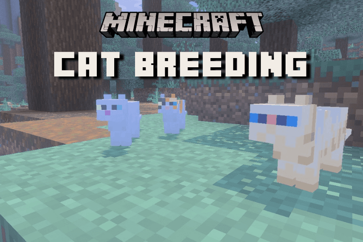 The Cat Lover’s Guide to Minecraft Breeding and Kitten Luck