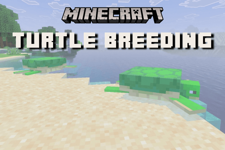 Breeding Turtles in Minecraft: Eggs &amp; Scutes Guide