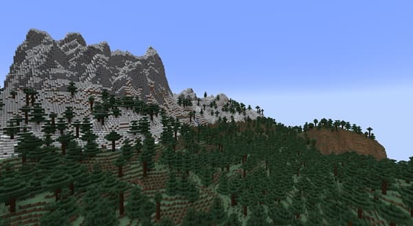 Green grass with a single white flower blooming in the sunlight.