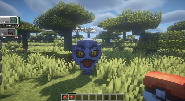 A blank white background.