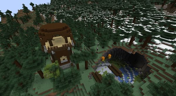 A person using an accessibility ramp with a companion dog.