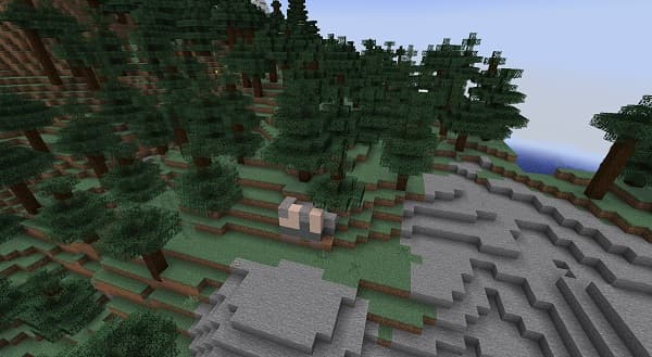 A close-up of a vibrant yellow sunflower in a sunny field.