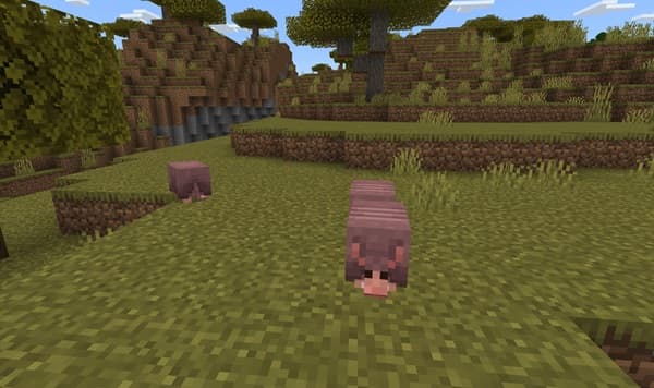 Young woman smiling and holding a book in a library.