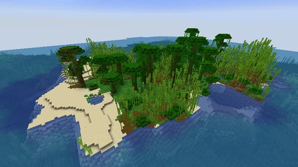 A dark, textured background that appears to be concrete or stone.