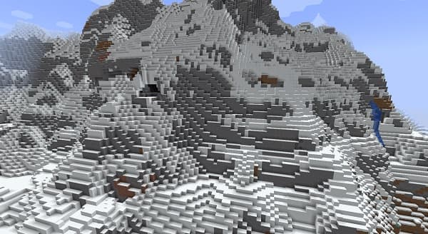 A close-up view of a green cactus plant.