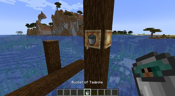 A young woman with dark curly hair wearing a white top looks at her phone, smiling.