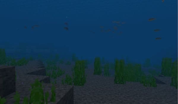 Close-up of a vibrant, healthy plant with green leaves and a pink flower, symbolizing growth and beauty.