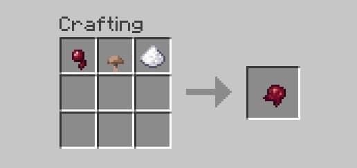 Blank white background.