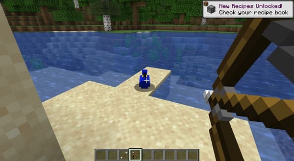 Green plant growing in a terracotta pot.