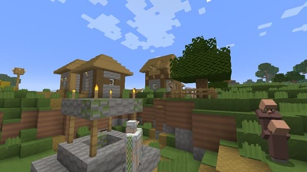 A person's hands holding a green plant.