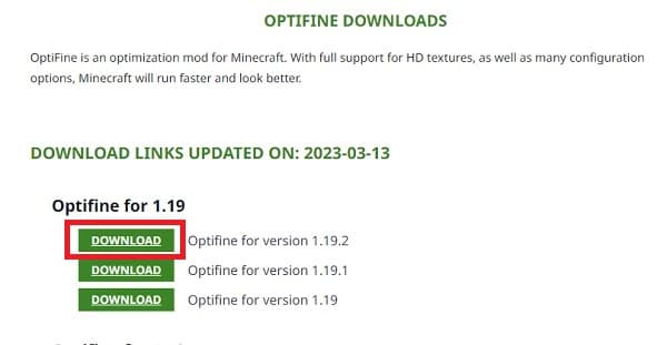 A close-up of a vibrant green succulent plant with delicate pink edges.