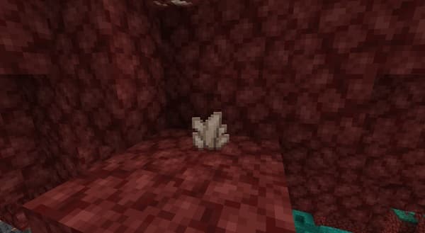 Empty white room with bright natural light from a window.