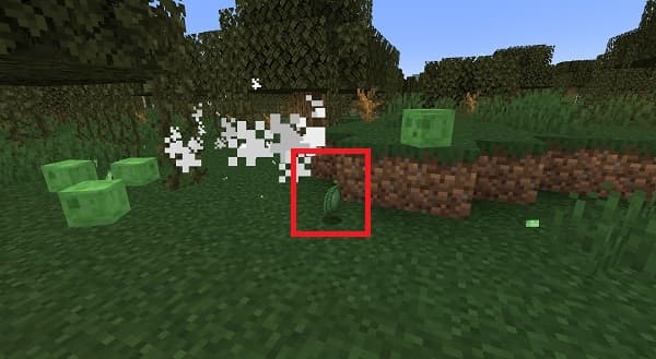 Purple gradient background with bokeh effect.