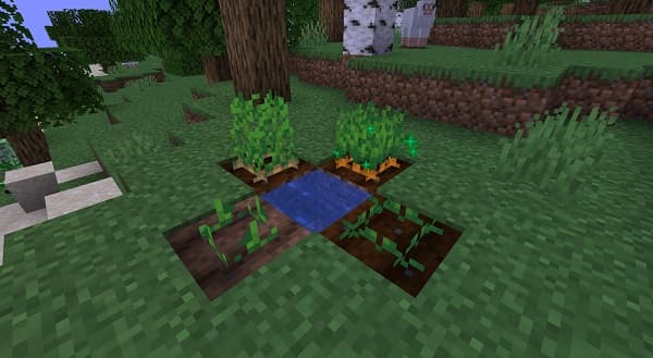 A person holding a small, vibrant green plant seedling with visible roots.