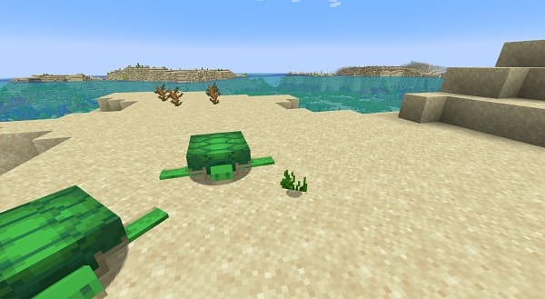 Image of a simple black line.