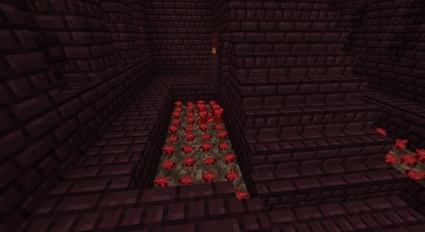 Blank white background.