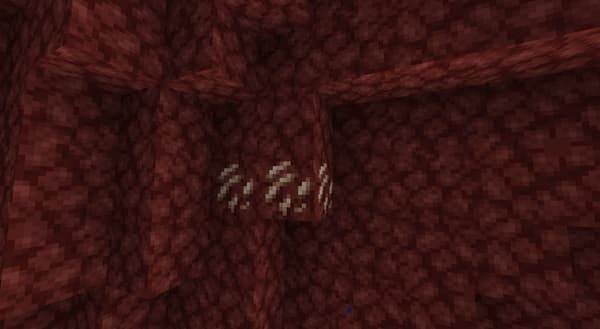 A close-up shot of a white smartphone against a blurred background.