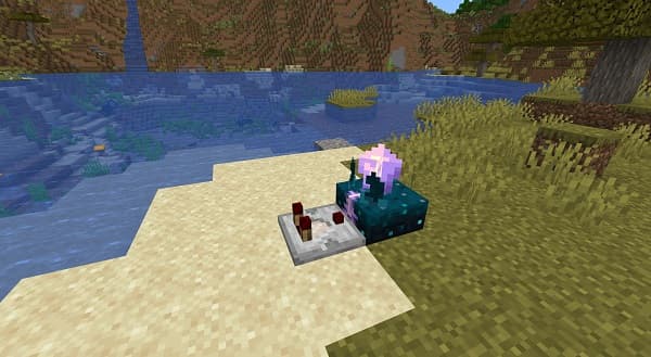 A close-up view of a vibrant red rose in full bloom, showcasing its delicate petals.