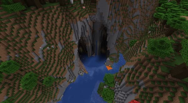 A close-up of a vibrant, healthy green plant with broad leaves, possibly a houseplant, in soft focus.