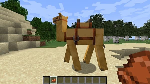 A picturesque autumn forest path.