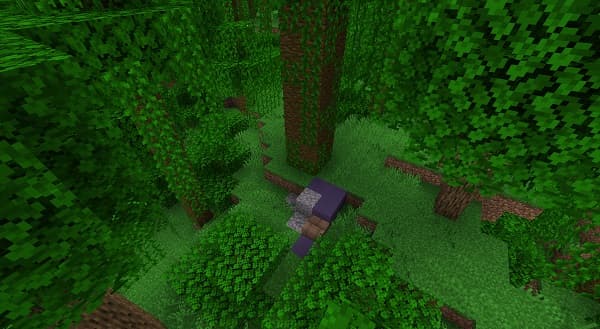 This image is missing, and the content cannot be generated.