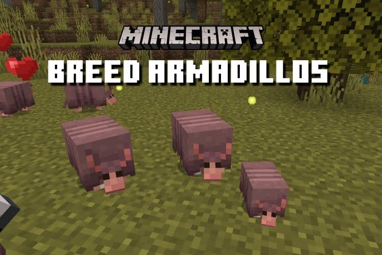 How to Breed Armadillos in Minecraft 1.21 (2024)