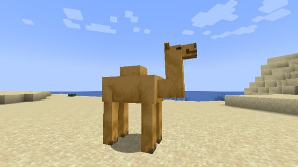 A close-up view of a vibrant red rose in full bloom, showcasing intricate petals and a delicate texture.