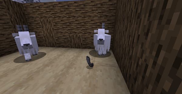 No image provided, so I cannot generate alt text. Please provide the image or a description of it.