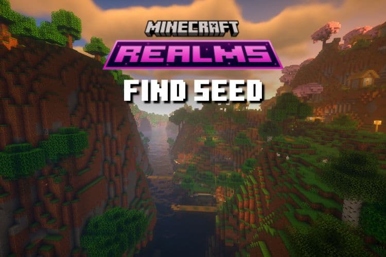 How to Find Seed of Minecraft Realm on Bedrock and Java