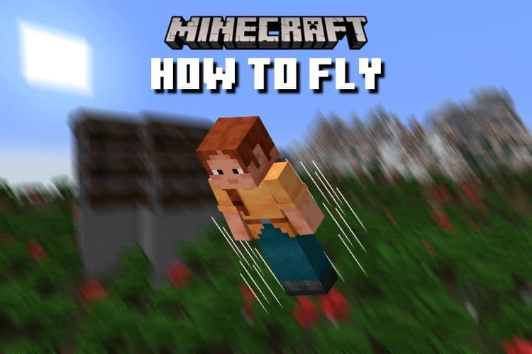 How to Fly in Minecraft (6 Methods)