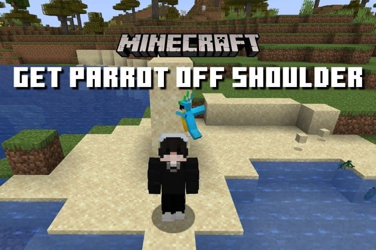 How to Get Parrot Off Shoulder in Minecraft