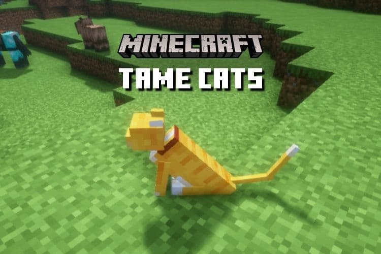 How to Tame a Cat in Minecraft – Complete Guide