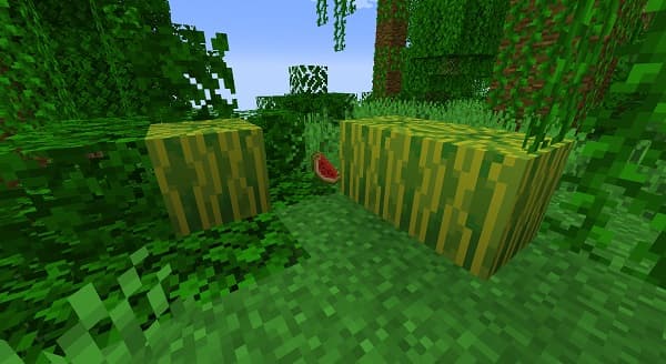 A group of diverse people working together in a modern office space.