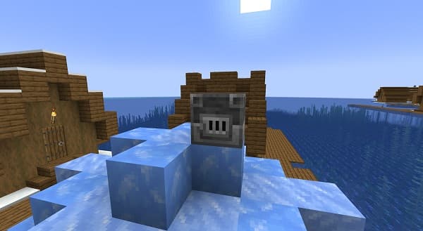 A person's hands holding a green plant.