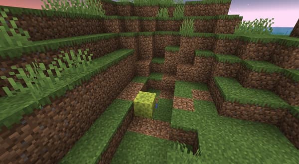 A close-up view of dark, rich soil with small plant sprouts emerging, indicating healthy growth.