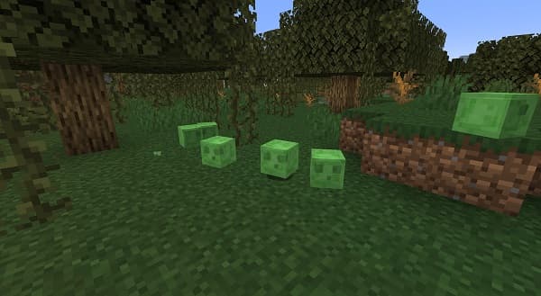 A large, empty white room.