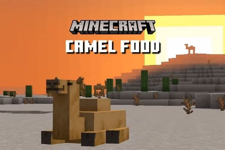 What Do Camels Eat in Minecraft 1.20