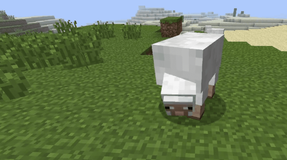 Image from post content