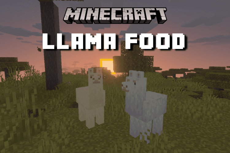 What Do Llamas Eat in Minecraft to Heal and Breed?