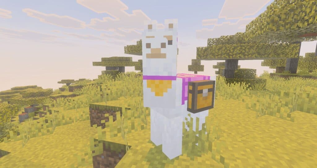 Image from post content