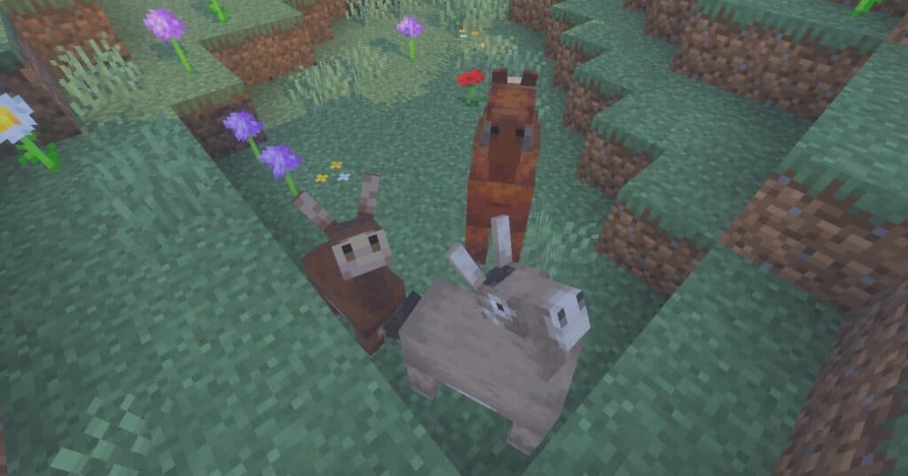Image from post content