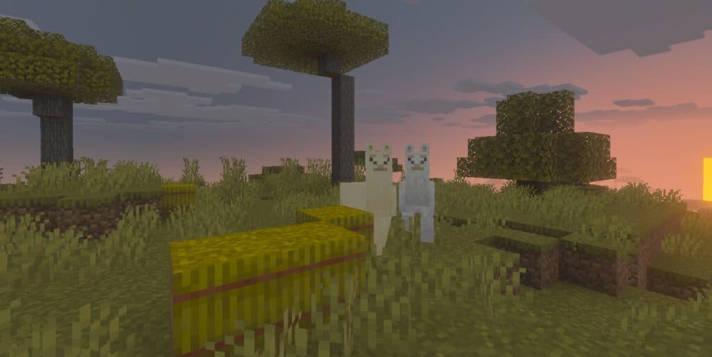 Image from post content