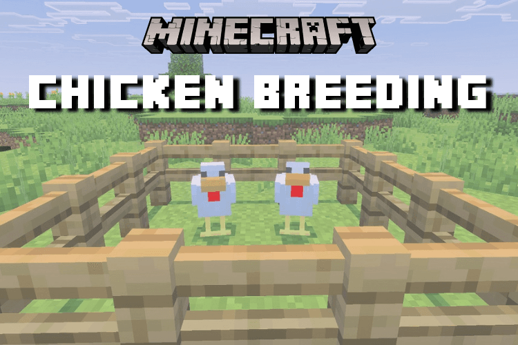 How to Breed Chickens in Minecraft for Infinite Eggs
