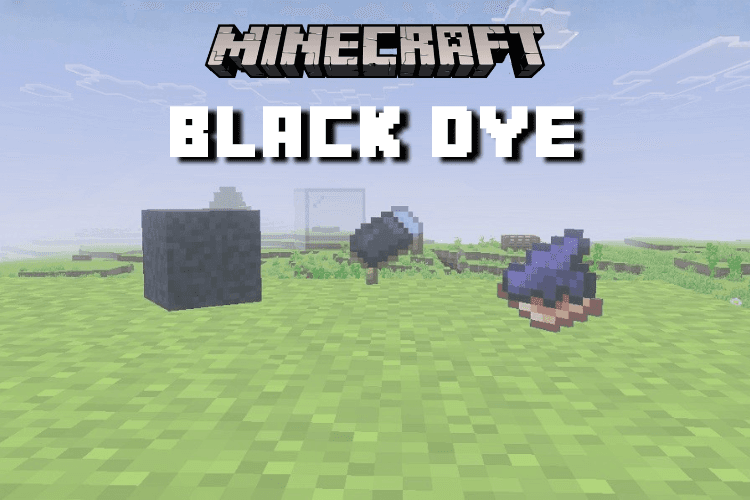 How to Get Black Dye in Minecraft: Ink & Wither Roses