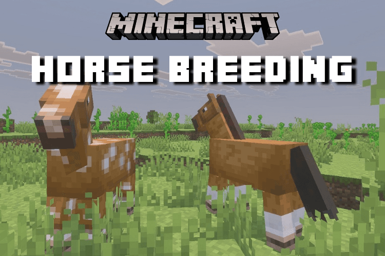 Minecraft Horse Breeding Guide: Get the Best Stat
