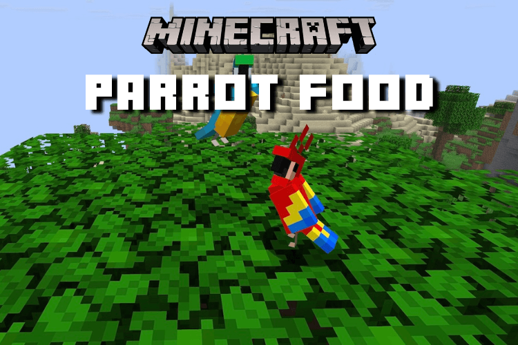 Best Food for Parrots in Minecraft: Feeding Tips