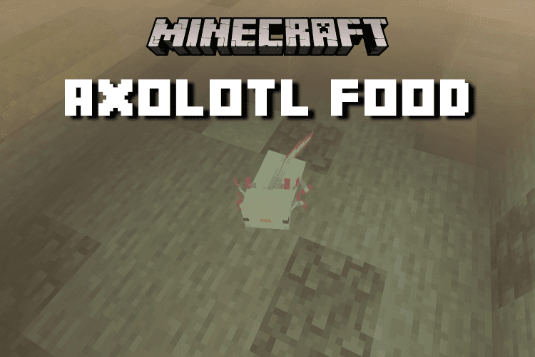 What Do Axolotls Eat in Minecraft? Finding Their Food